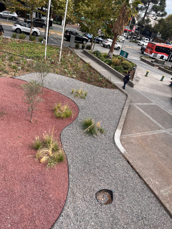 Nuestra Intervención 3